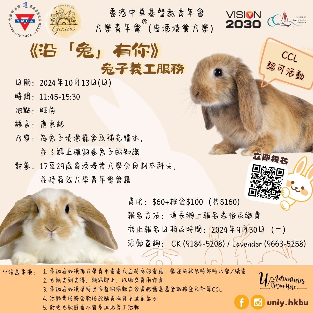 Poster of University YMCA: Rabbit Service